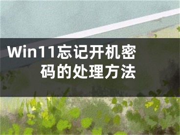 Win11忘记开机密码的处理方法