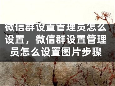 微信群设置管理员怎么设置，微信群设置管理员怎么设置图片步骤