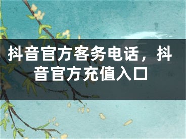 抖音官方客务电话，抖音官方充值入口