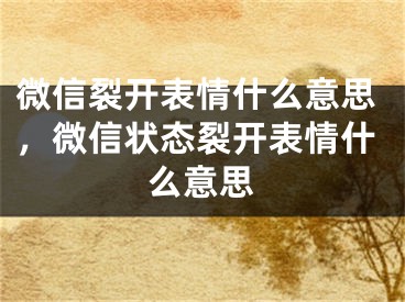 微信裂开表情什么意思，微信状态裂开表情什么意思