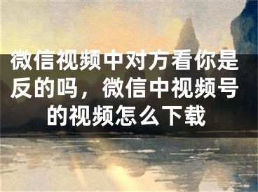 微信视频中对方看你是反的吗，微信中视频号的视频怎么下载