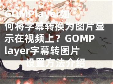 GOMPlayer如何将字幕转换为图片显示在视频上？GOMPlayer字幕转图片设置方法介绍