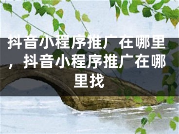 抖音小程序推广在哪里，抖音小程序推广在哪里找