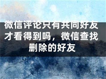 微信评论只有共同好友才看得到吗，微信查找删除的好友