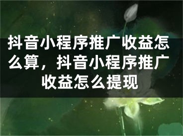 抖音小程序推广收益怎么算，抖音小程序推广收益怎么提现