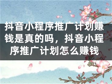 抖音小程序推广计划赚钱是真的吗，抖音小程序推广计划怎么赚钱