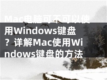 Mac电脑可不可以使用Windows键盘？详解Mac使用Windows键盘的方法