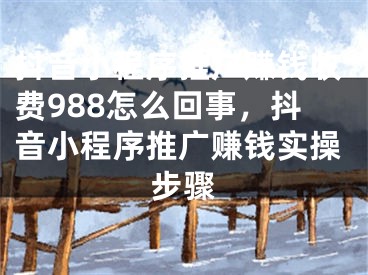 抖音小程序推广赚钱收费988怎么回事，抖音小程序推广赚钱实操步骤