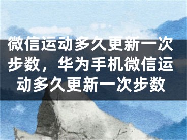 微信运动多久更新一次步数，华为手机微信运动多久更新一次步数