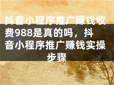 抖音小程序推广赚钱收费988是真的吗，抖音小程序推广赚钱实操步骤 