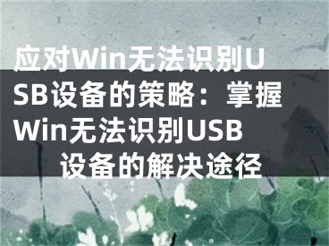 应对Win无法识别USB设备的策略：掌握Win无法识别USB设备的解决途径
