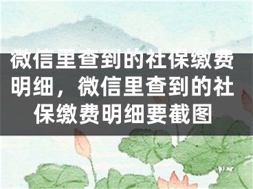 微信里查到的社保缴费明细，微信里查到的社保缴费明细要截图