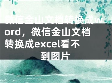 微信金山文档转换成word，微信金山文档转换成excel看不到图片