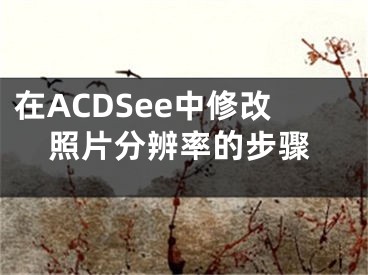 在ACDSee中修改照片分辨率的步骤