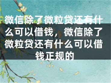 微信除了微粒贷还有什么可以借钱，微信除了微粒贷还有什么可以借钱正规的