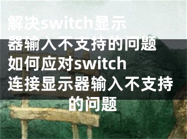 解决switch显示器输入不支持的问题 如何应对switch连接显示器输入不支持的问题