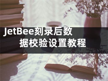 JetBee刻录后数据校验设置教程