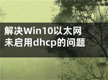 解决Win10以太网未启用dhcp的问题