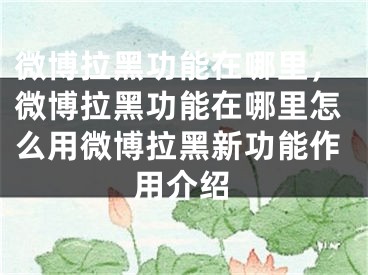 微博拉黑功能在哪里，微博拉黑功能在哪里怎么用微博拉黑新功能作用介绍