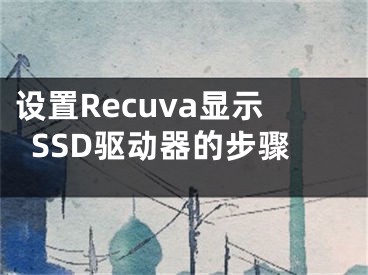 设置Recuva显示SSD驱动器的步骤