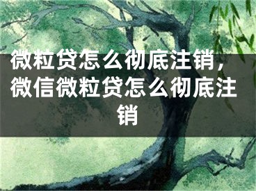 微粒贷怎么彻底注销，微信微粒贷怎么彻底注销