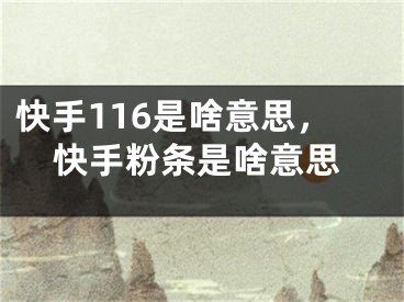 快手116是啥意思，快手粉条是啥意思