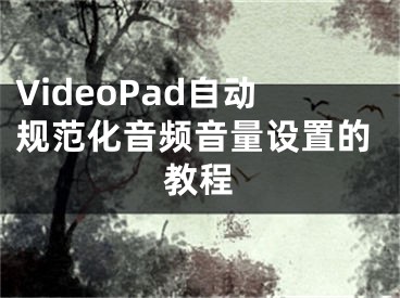 VideoPad自动规范化音频音量设置的教程
