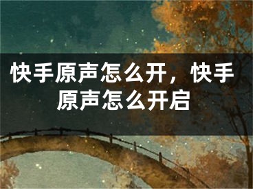 快手原声怎么开，快手原声怎么开启