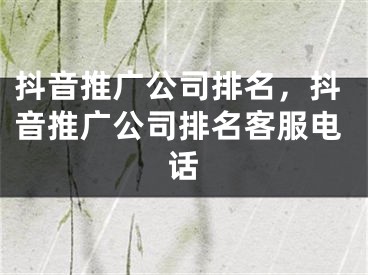 抖音推广公司排名，抖音推广公司排名客服电话