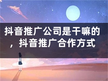 抖音推广公司是干嘛的，抖音推广合作方式