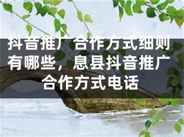 抖音推广合作方式细则有哪些，息县抖音推广合作方式电话