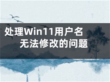 处理Win11用户名无法修改的问题