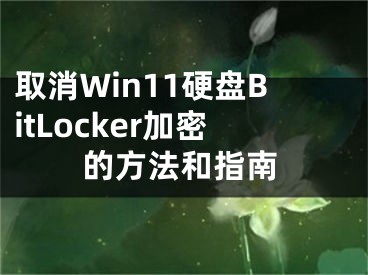 取消Win11硬盘BitLocker加密的方法和指南