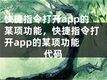 快捷指令打开app的某项功能，快捷指令打开app的某项功能 代码