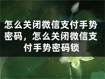 怎么关闭微信支付手势密码，怎么关闭微信支付手势密码锁