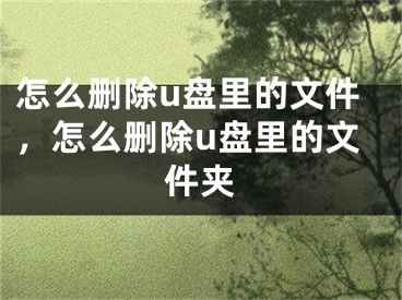 怎么删除u盘里的文件，怎么删除u盘里的文件夹