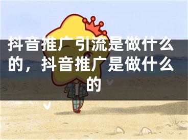 抖音推广引流是做什么的，抖音推广是做什么的