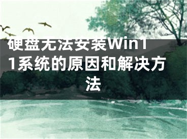 硬盘无法安装Win11系统的原因和解决方法