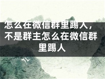 怎么在微信群里踢人，不是群主怎么在微信群里踢人