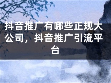 抖音推广有哪些正规大公司，抖音推广引流平台