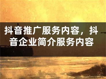 抖音推广服务内容，抖音企业简介服务内容