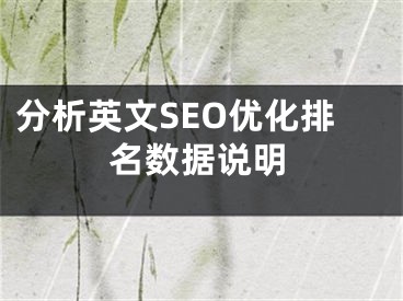 分析英文SEO优化排名数据说明