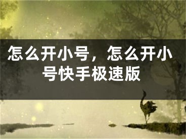 怎么开小号，怎么开小号快手极速版