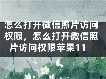 怎么打开微信照片访问权限，怎么打开微信照片访问权限苹果11