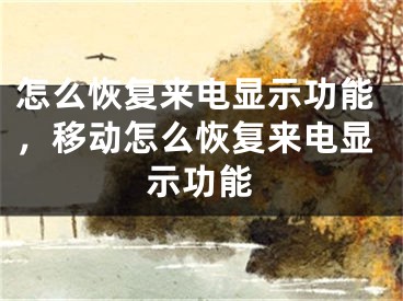 怎么恢复来电显示功能，移动怎么恢复来电显示功能