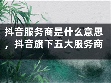 抖音服务商是什么意思，抖音旗下五大服务商