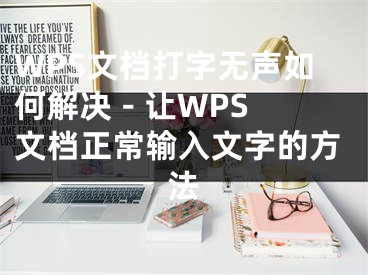 WPS文档打字无声如何解决 - 让WPS文档正常输入文字的方法