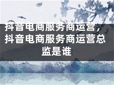 抖音电商服务商运营，抖音电商服务商运营总监是谁