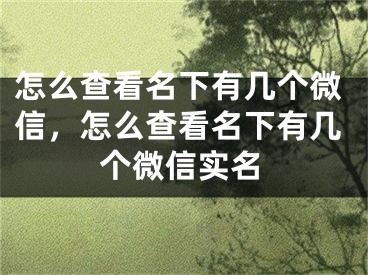 怎么查看名下有几个微信，怎么查看名下有几个微信实名