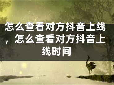 怎么查看对方抖音上线，怎么查看对方抖音上线时间